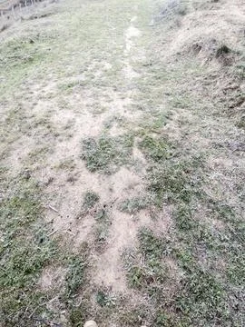 Grass and Soil Texture for Background Stock Photos