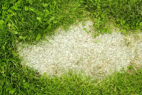 Grass and stone in the middle Stock Photos