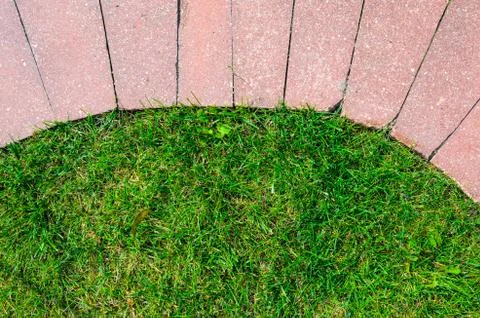 Grass and Stone Pavement Texture Stock Photos