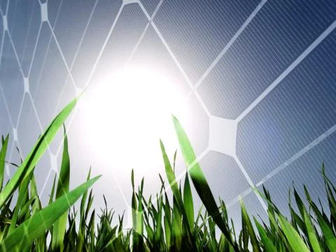 Grass and sun 스톡 사진