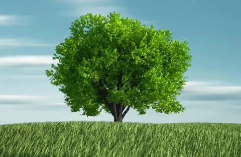 Grass and tree Illustrazione stock