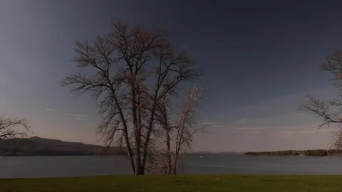 Grass and trees on the edge of Lake Champlain. Crown Point, NY. Stock Footage 273607816
