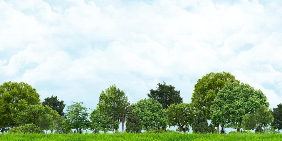 Grass and trees view Cloudy skies Wide angle landscape 3d illustration Illustrazione stock
