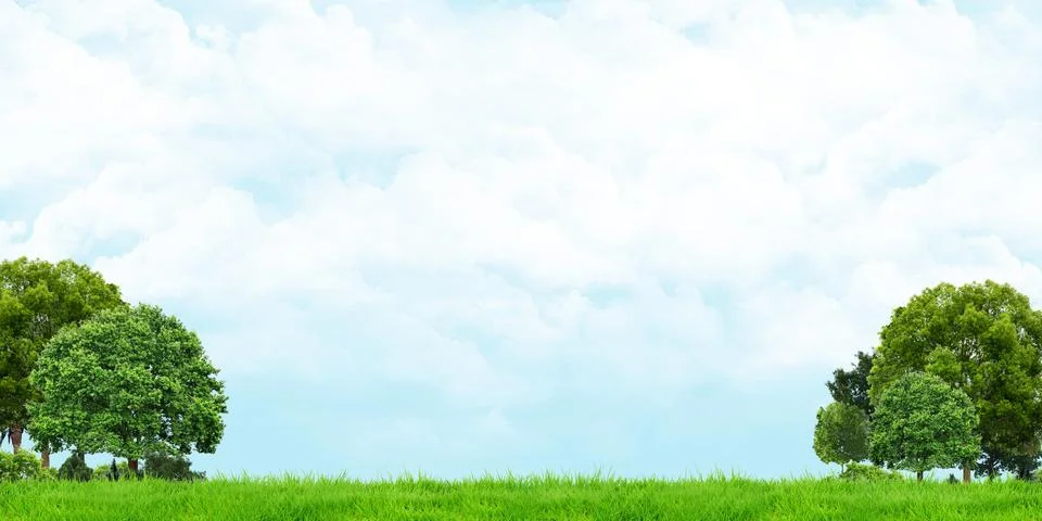 Grass and trees view Cloudy skies Wide angle landscape 3d illustration Illustrazione stock