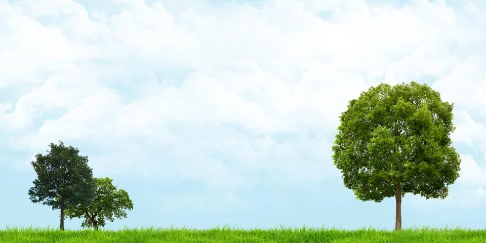 Grass and trees view Cloudy skies Wide angle landscape 3d illustration Illustrazione stock
