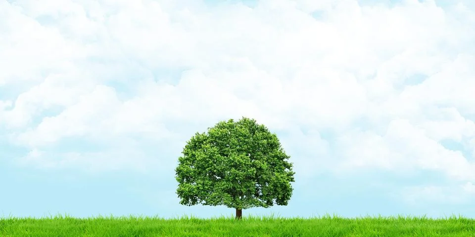 Grass and trees view Cloudy skies Wide angle landscape 3d illustration Stock Photos