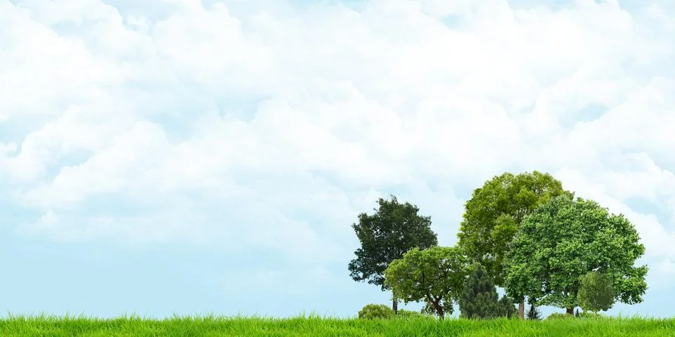 Grass and trees view Cloudy skies Wide angle landscape 3d illustration Stock Photos