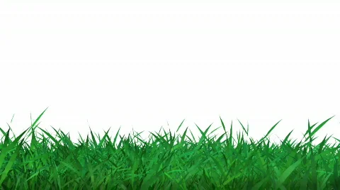 Grass animation 動画素材 368989