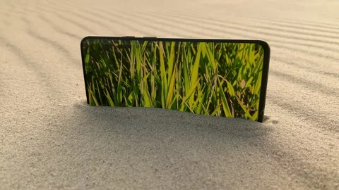 Grass appears on the phone in the desert Stock Footage 200746148