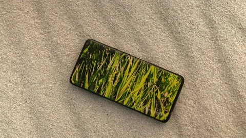 Grass appears on the phone in the desert Stock Footage 200930722