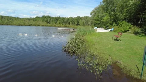 Grass area by a small pond Stock Footage 160492728