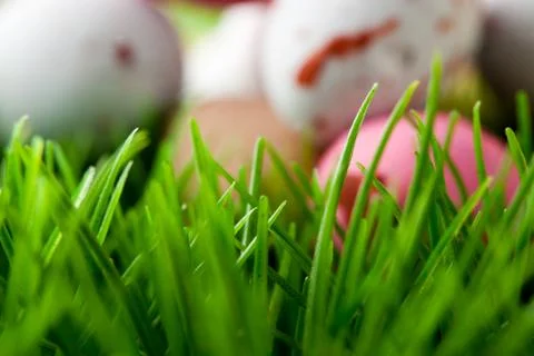 Grass background with easter eggs Stock Photos