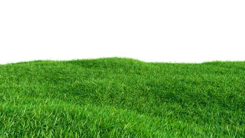 Grass background, fresh green fields, isolated Illustrazione stock