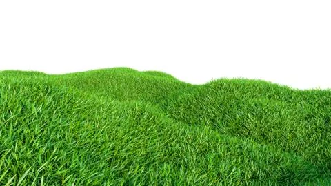 Grass background, fresh green fields, isolated Illustrazione stock