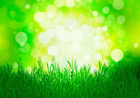 Grass on a background of green beech Stock Illustration