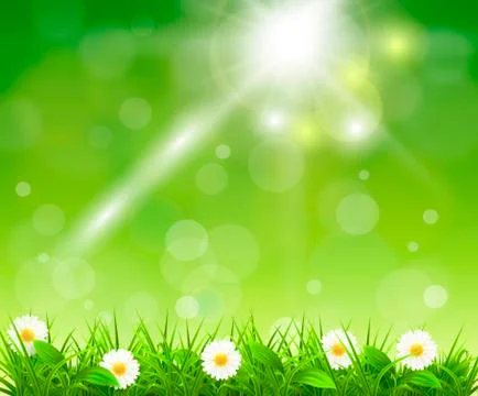 Grass on a background of green bokeh Stock Illustration
