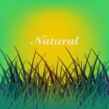 Grass Background Stock Illustration