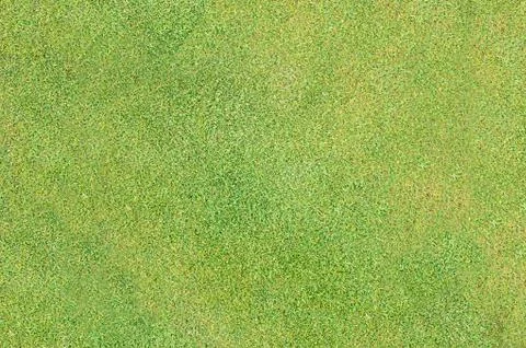 Grass background large resolution Foto stock