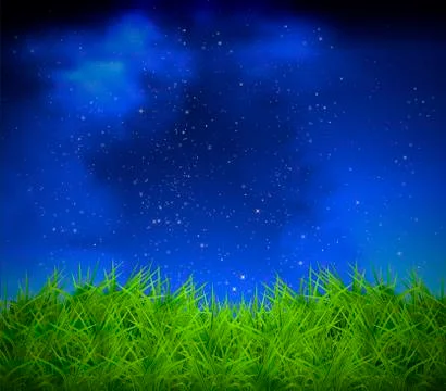 Grass on a background of night sky Stock Illustration