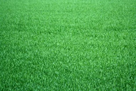 Grass background Stock Photos