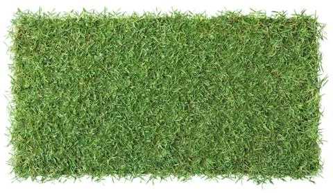 Grass background Stock Photos