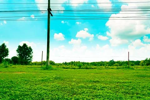 Grass background Stock Photos