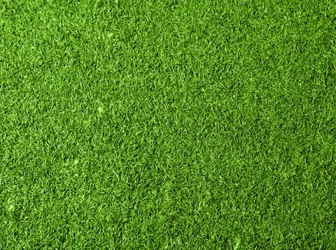Grass background Stock Photos