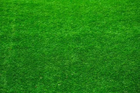 Grass background Foto stock