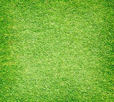 Grass background Foto stock