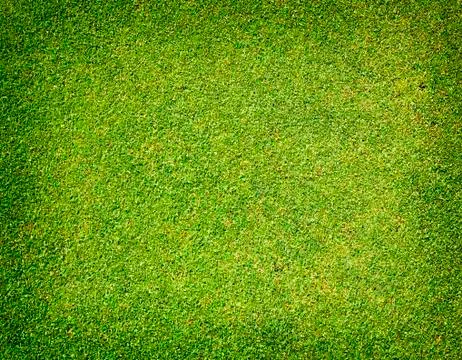 Grass background Stock Photos
