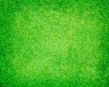Grass background Stock Photos