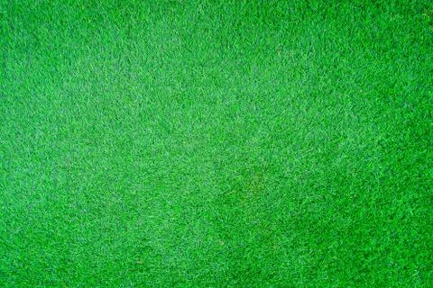 Grass background Stock Photos