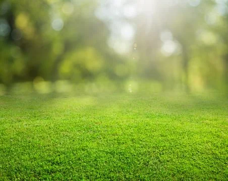 Grass background Stock Photos