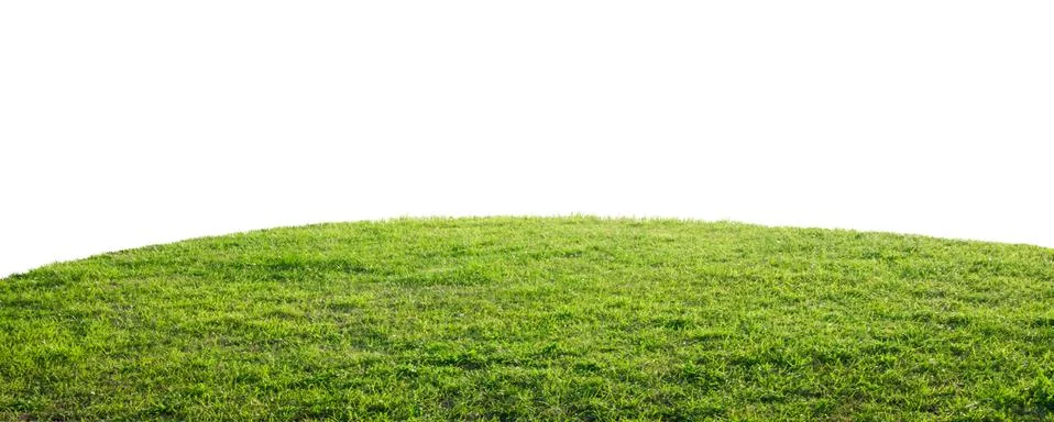 Grass background Foto stock