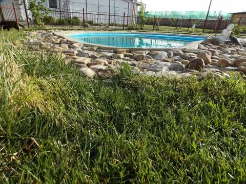 Grass on the background of the pool in the form of a heart Stock Photos