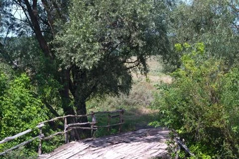 Grass on the background of a river. Stock Photos