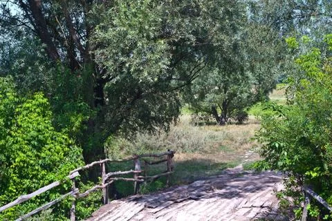 Grass on the background of a river. Stock-Fotos