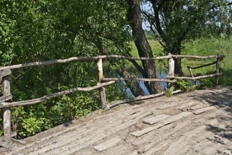 Grass on the background of a river. Stock Photos