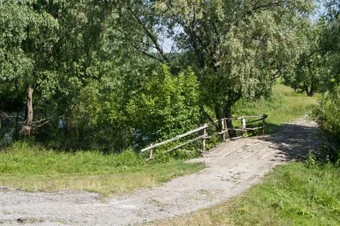 Grass on the background of a river. Stock Photos