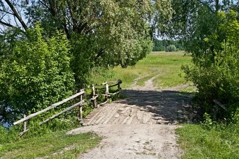 Grass on the background of a river. Stock Photos
