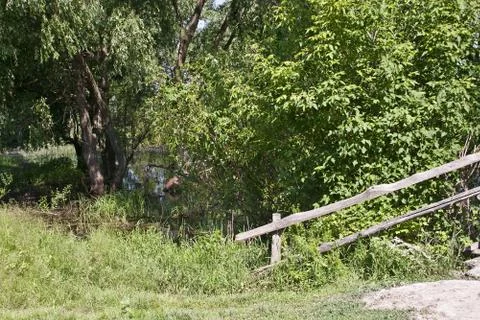 Grass on the background of a river. Stock-Fotos