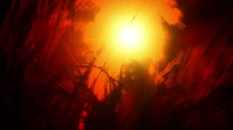 Grass on the background of the setting sun Stock Footage 6529965