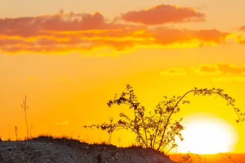Grass in the background of the setting sun Stock Photos