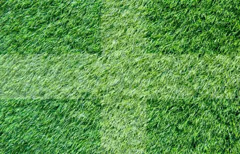 Grass for background ,texture and patten Stock Illustration