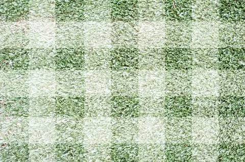 Grass for background ,texture and patten Stock Illustration