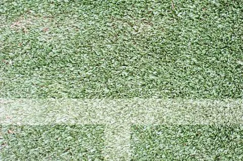 Grass for background ,texture and patten Illustrazione stock