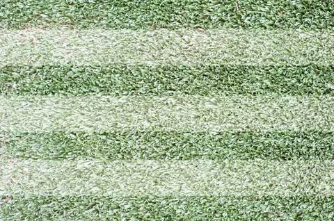 Grass for background ,texture and patten Illustrazione stock