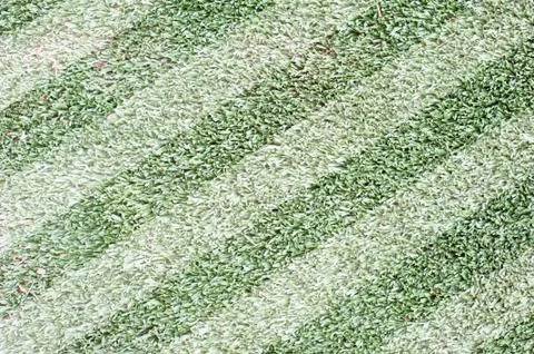 Grass for background ,texture and patten Stock Illustration