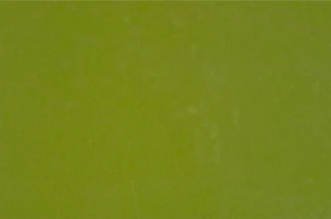 Grass for background ,texture and patten Stock Photos