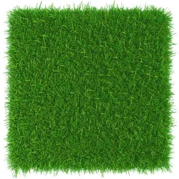 Grass background texture. fresh grass. 3d rendering. Illustrazione stock